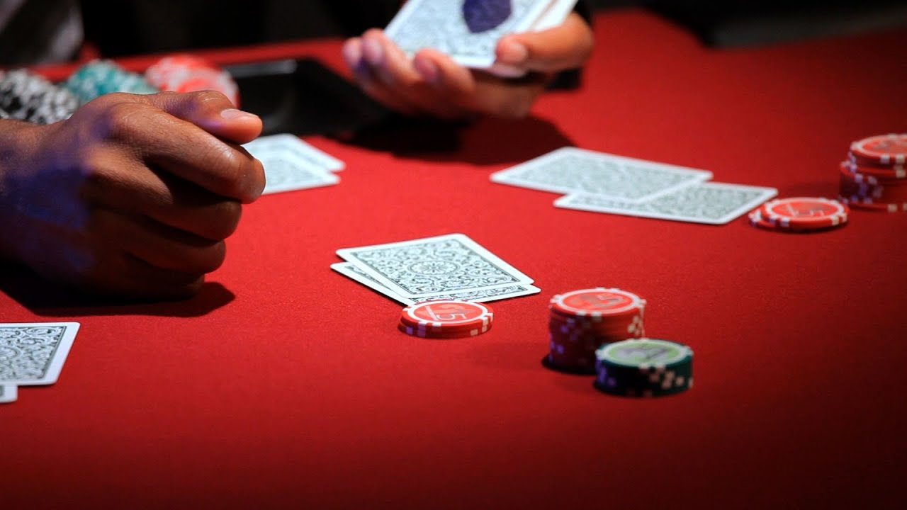 Enjoy the thrill of gambling: